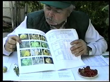 Kertészkedő