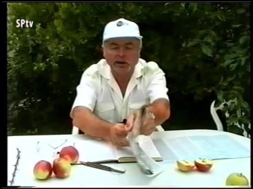 Kertészkedő