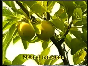 Kertészkedő