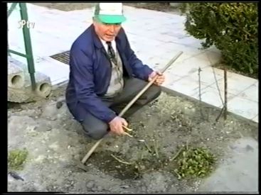 Kertészkedő
