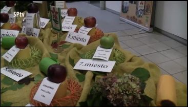 Kertészkedő