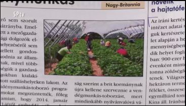 Kertészkedő